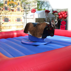 Bullriding Arena